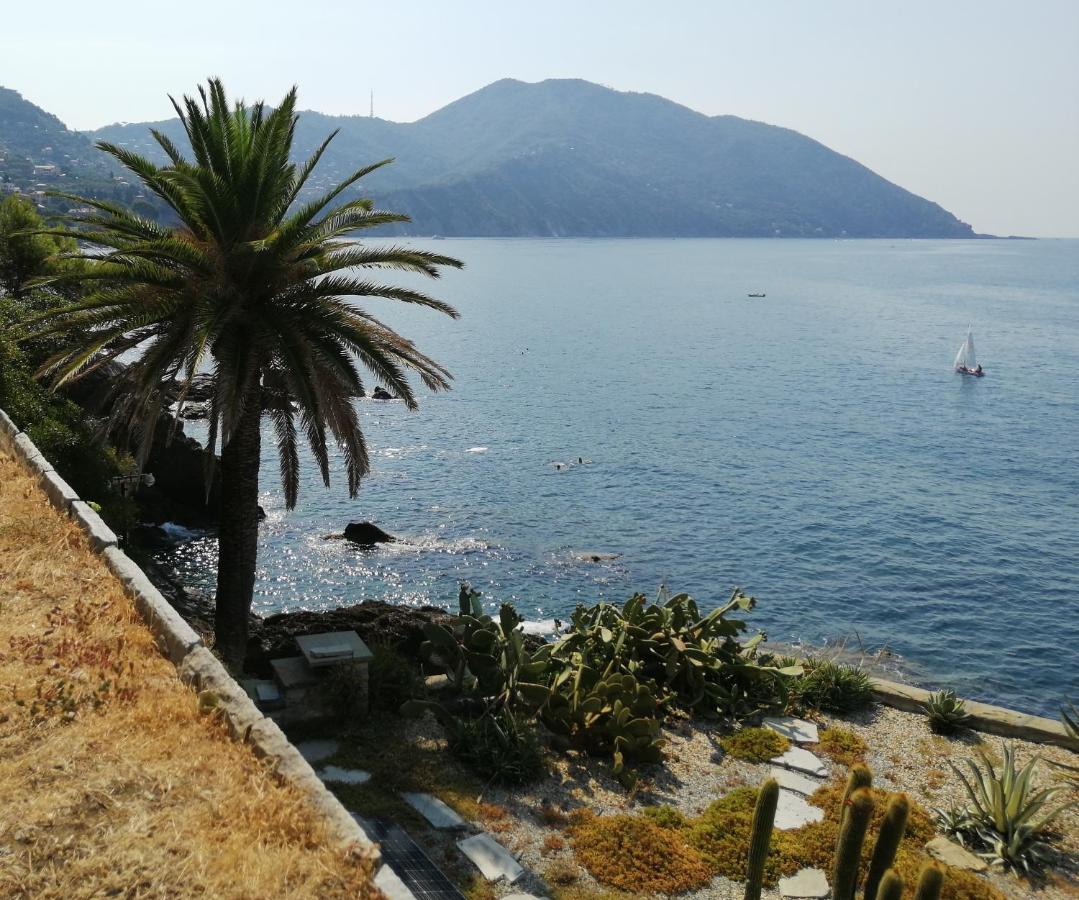 Il Grecale Daire Recco Dış mekan fotoğraf