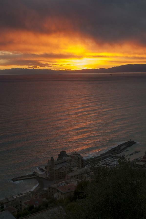 Il Grecale Daire Recco Dış mekan fotoğraf