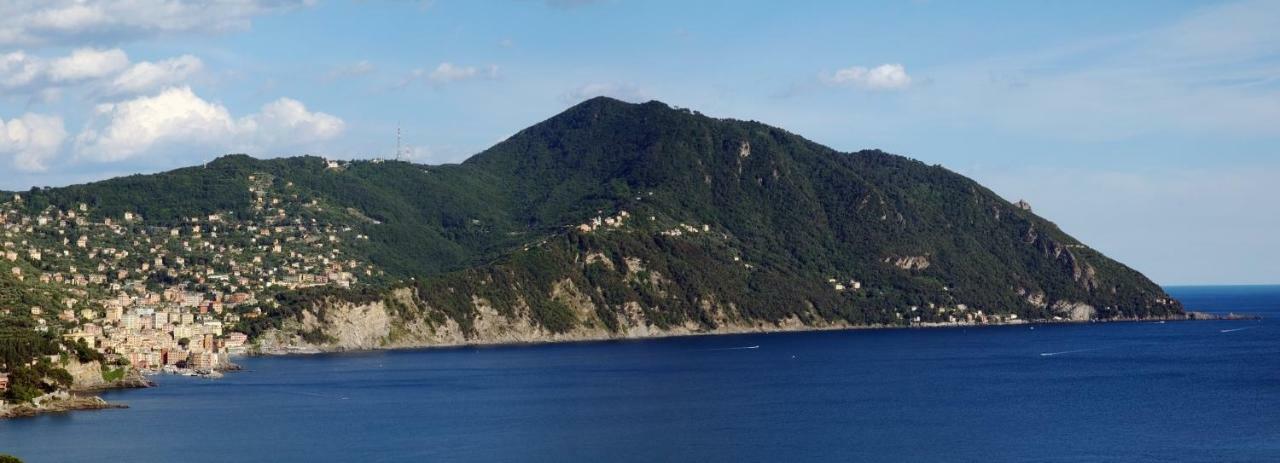 Il Grecale Daire Recco Dış mekan fotoğraf